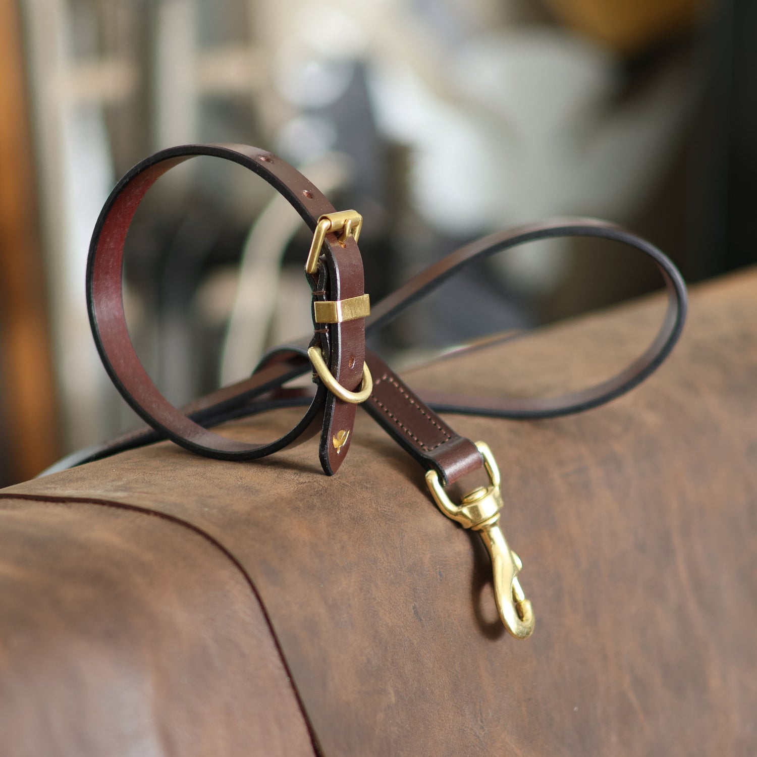Dog Collars & Leads